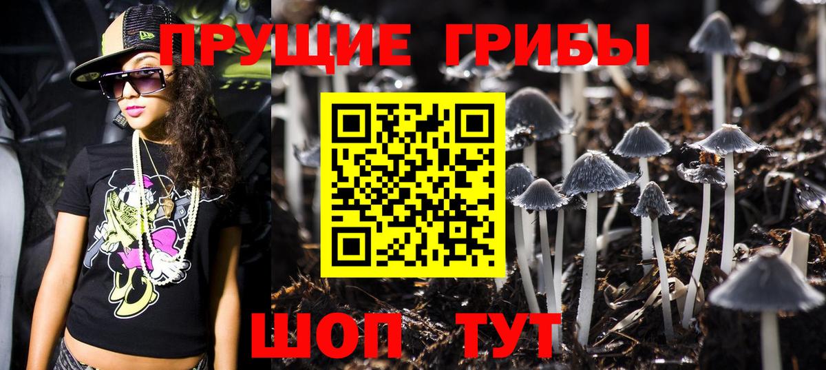 Псилоцибиновые грибы Psilocybine cubensis Тихорецк