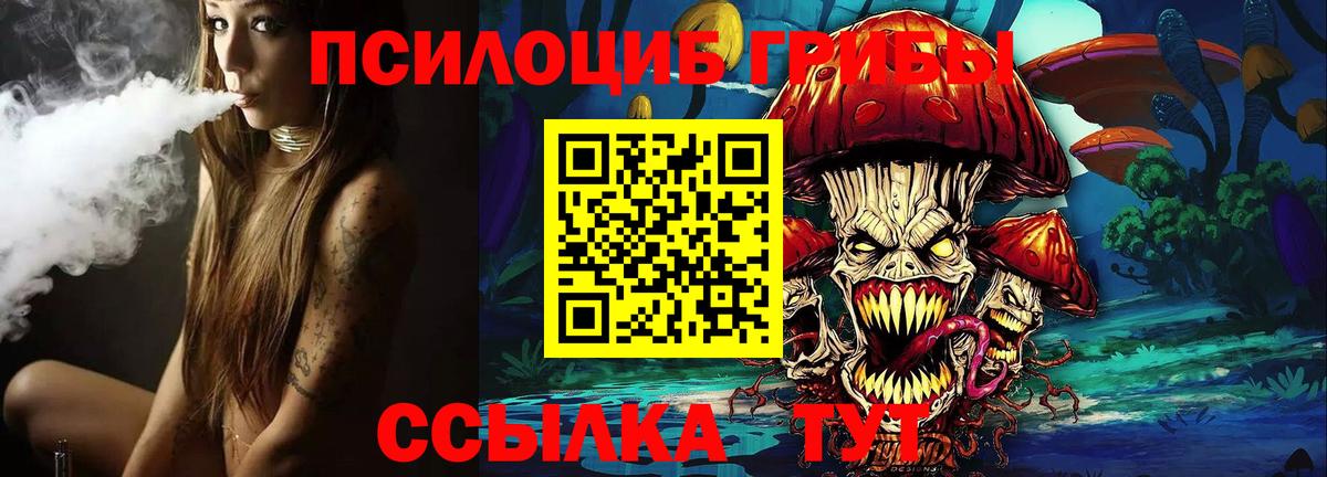 Галлюциногенные грибы прущие грибы  Вход с VPN  Тихорецк 